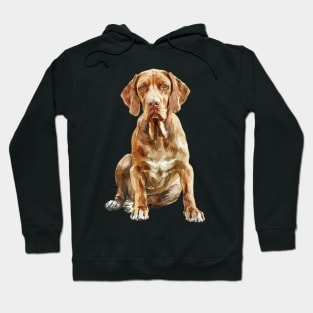 Bracco Italiano Hoodie